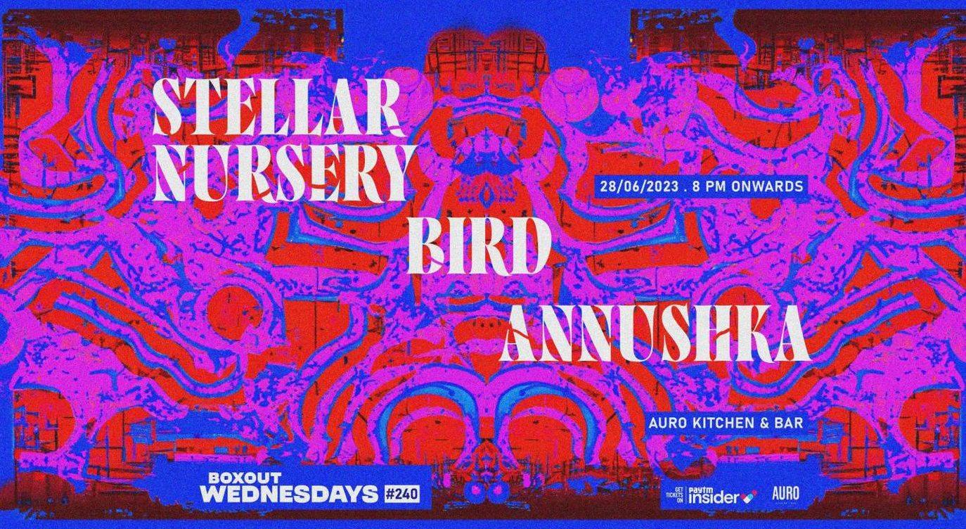 Boxout Wednesdays #240 with Stellar Nursery, Bird and Annushka